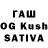 Псилоцибиновые грибы GOLDEN TEACHER Qanbas