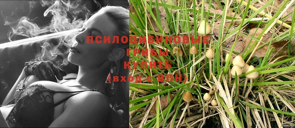 прущая мука Белокуриха