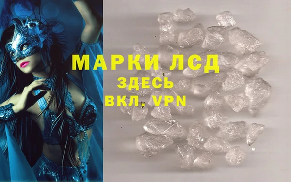 шишки Заволжье