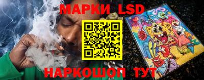 мдпв Камышлов