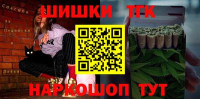 мдпв Камышлов