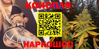 мдпв Камышлов
