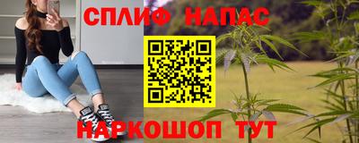 мдпв Камышлов