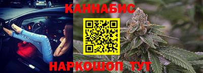 мдпв Камышлов