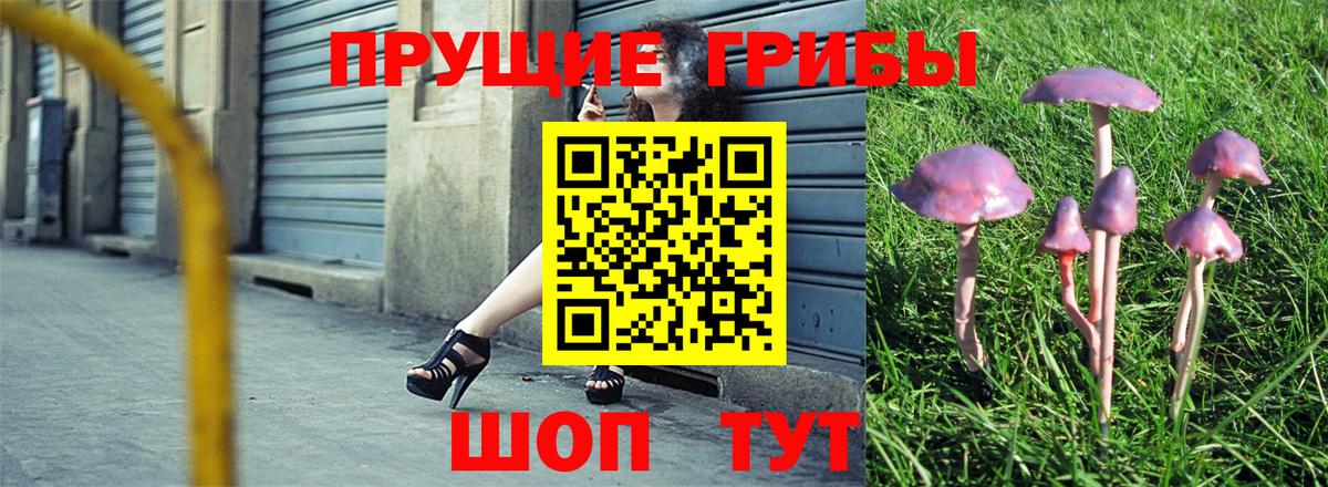 Галлюциногенные грибы GOLDEN TEACHER Дагестанские Огни