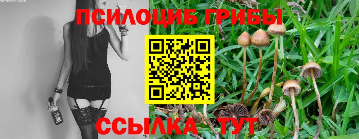 Галлюциногенные грибы Psilocybe  Галлюциногенные грибы Magic Shrooms  Дагестанские Огни 